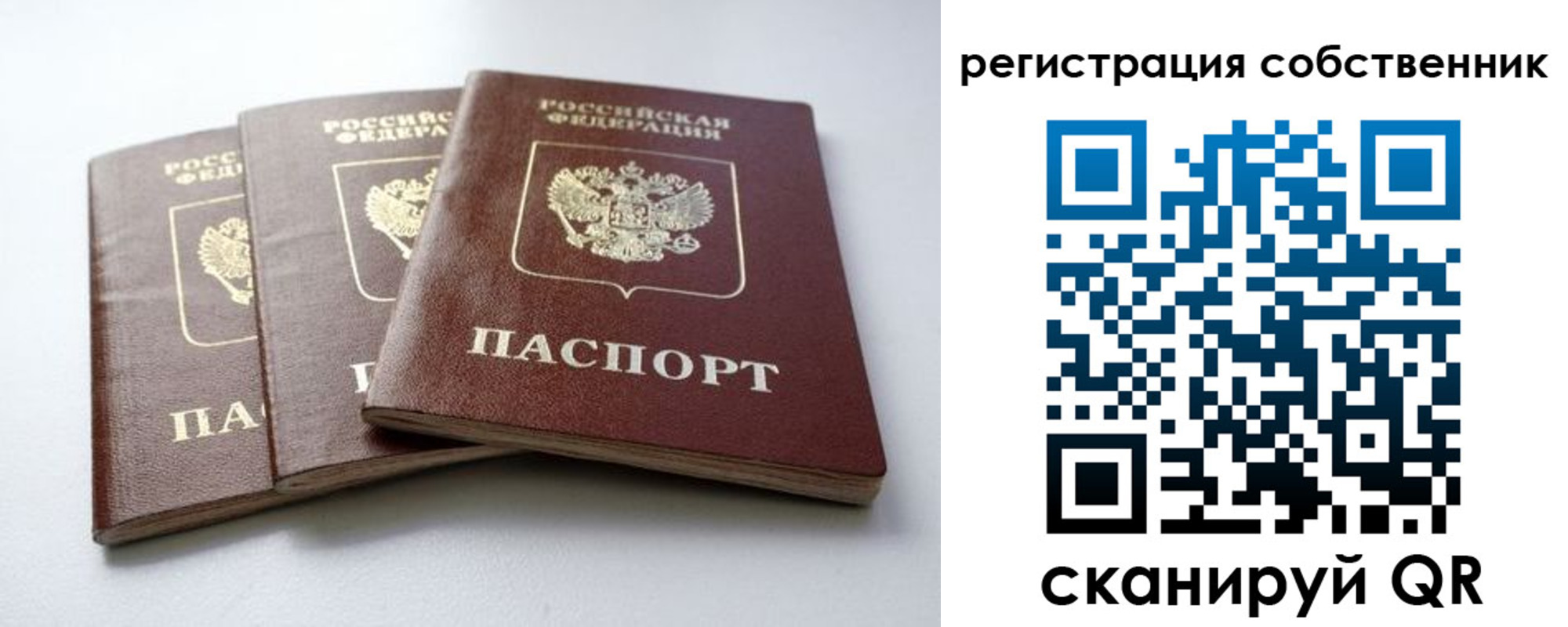 прописка для школы в Фрязино